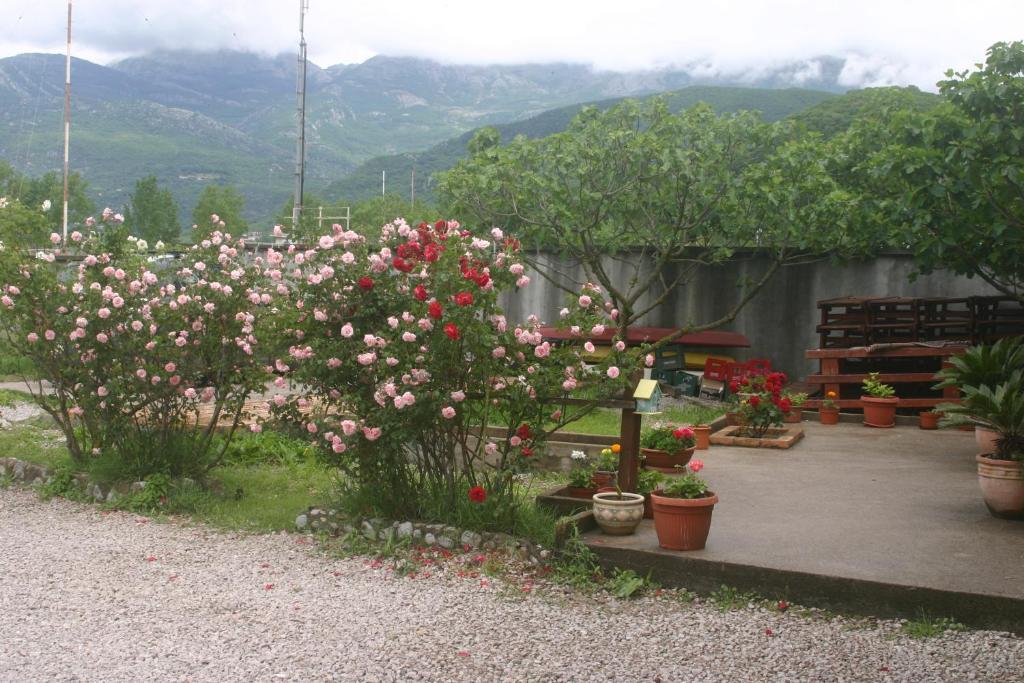 Appartamento Savina *